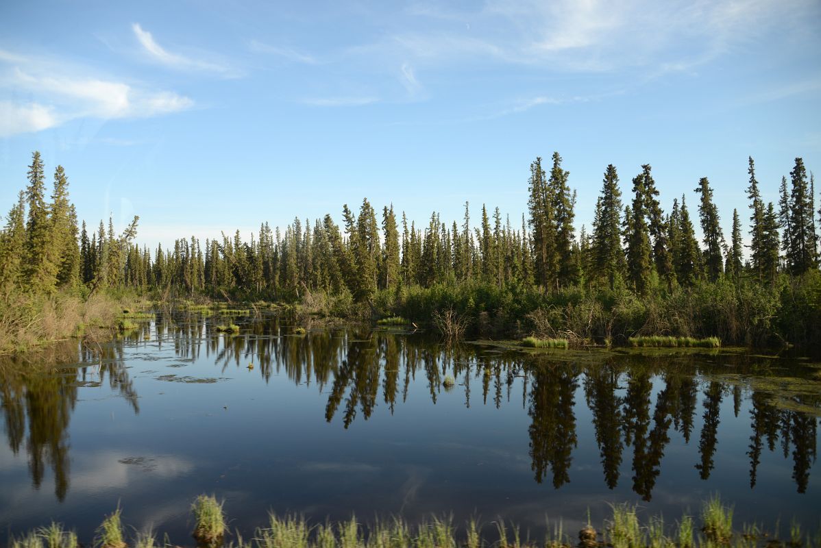 04E Trees Reflected In A Small Lake From The Dempster Dirt Highway Between MacKenzie River Ferry And Fort McPherson Northwest Territories On Day Tour From Inuvik To Arctic Circle